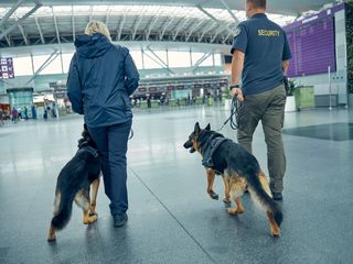 Security officer walking a guard patrol route with a K9 unit